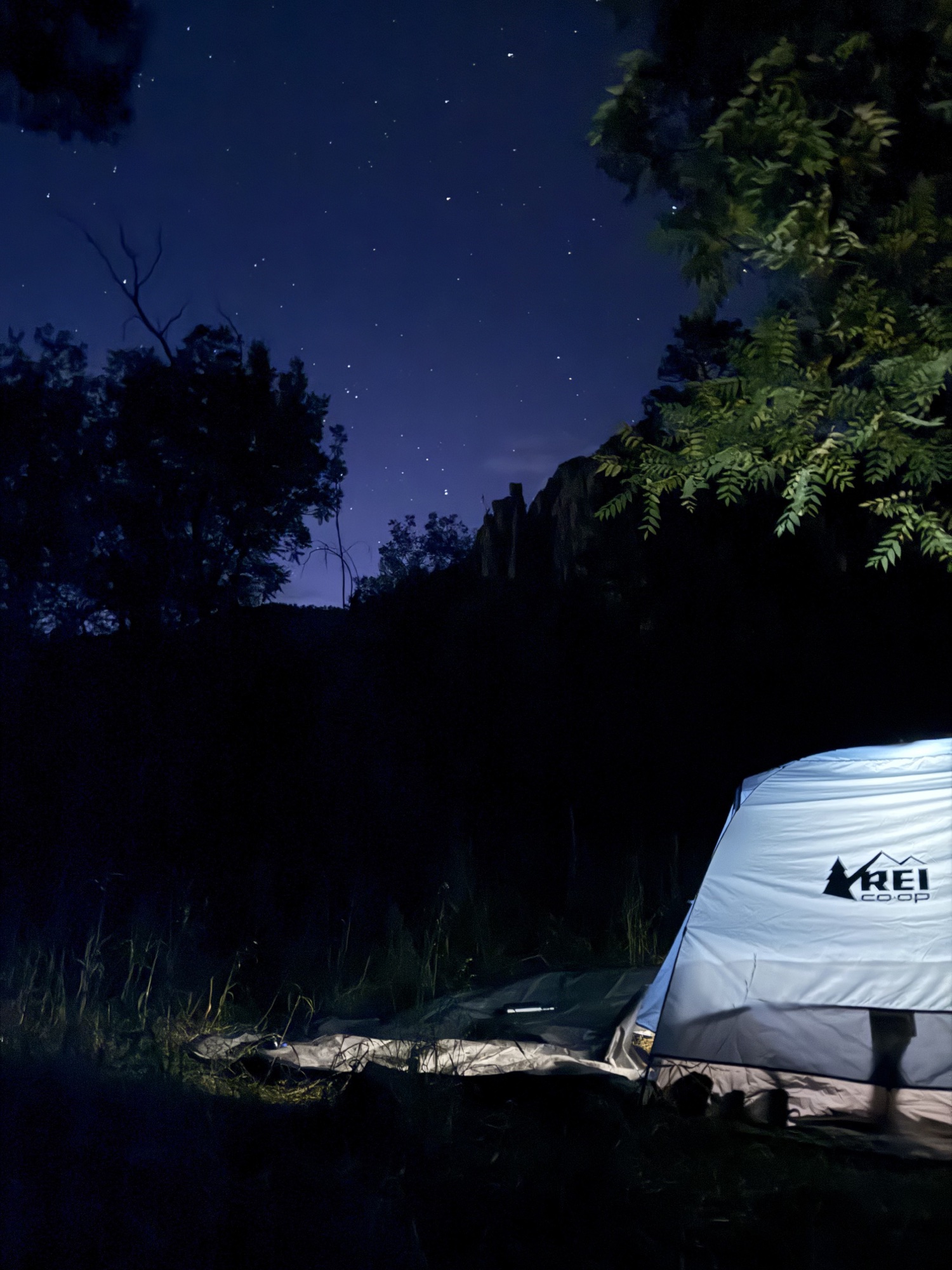 Una notte stellata durante il viaggio in New Mexico